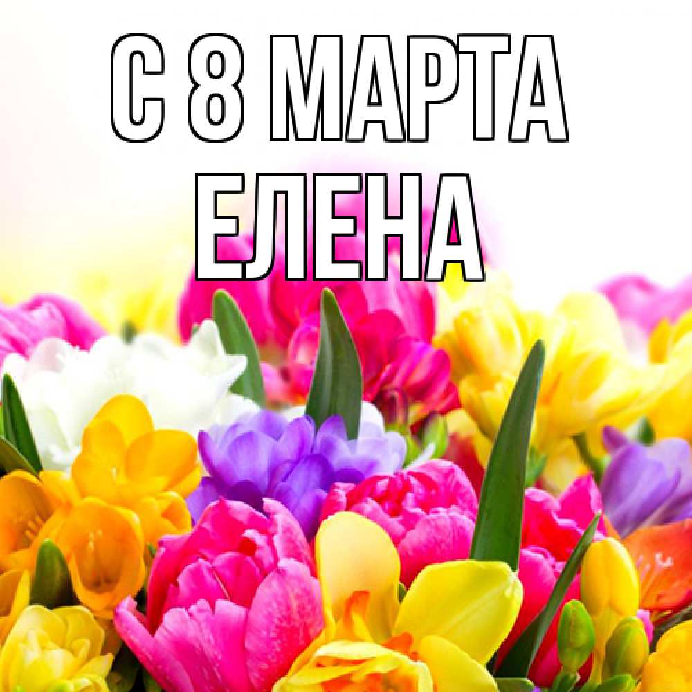 Открытка на каждый день с именем, Елена C 8 МАРТА тюльпаны Прикольная открытка с пожеланием онлайн скачать бесплатно 