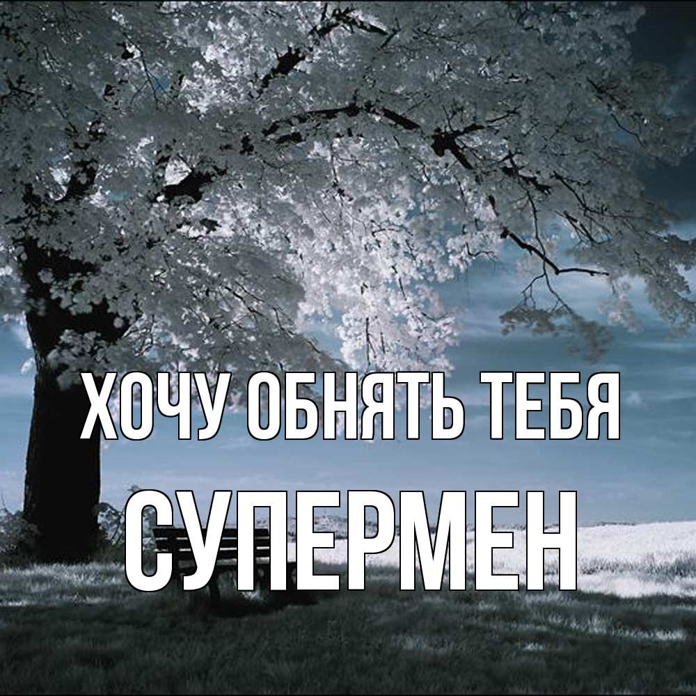 Открытка на каждый день с именем, Супермен Хочу обнять тебя дерево Прикольная открытка с пожеланием онлайн скачать бесплатно 