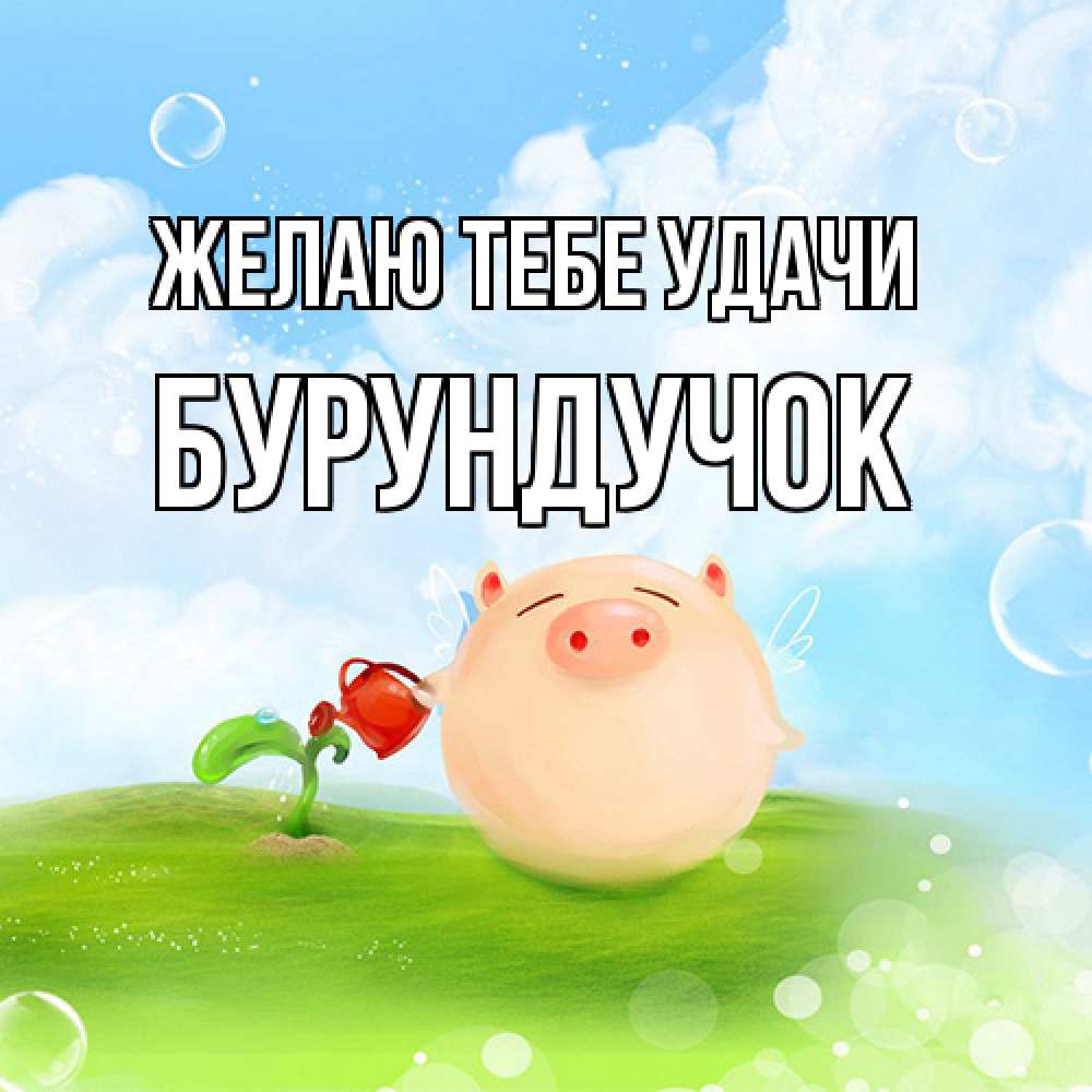 Открытка на каждый день с именем, бурундучок Желаю тебе удачи поросенок поливает цветок. летнее настроение Прикольная открытка с пожеланием онлайн скачать бесплатно 