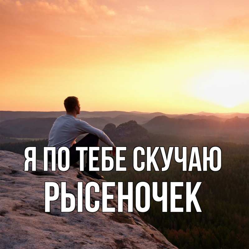 Картинка Я по тебе скучаю, Рысеночек