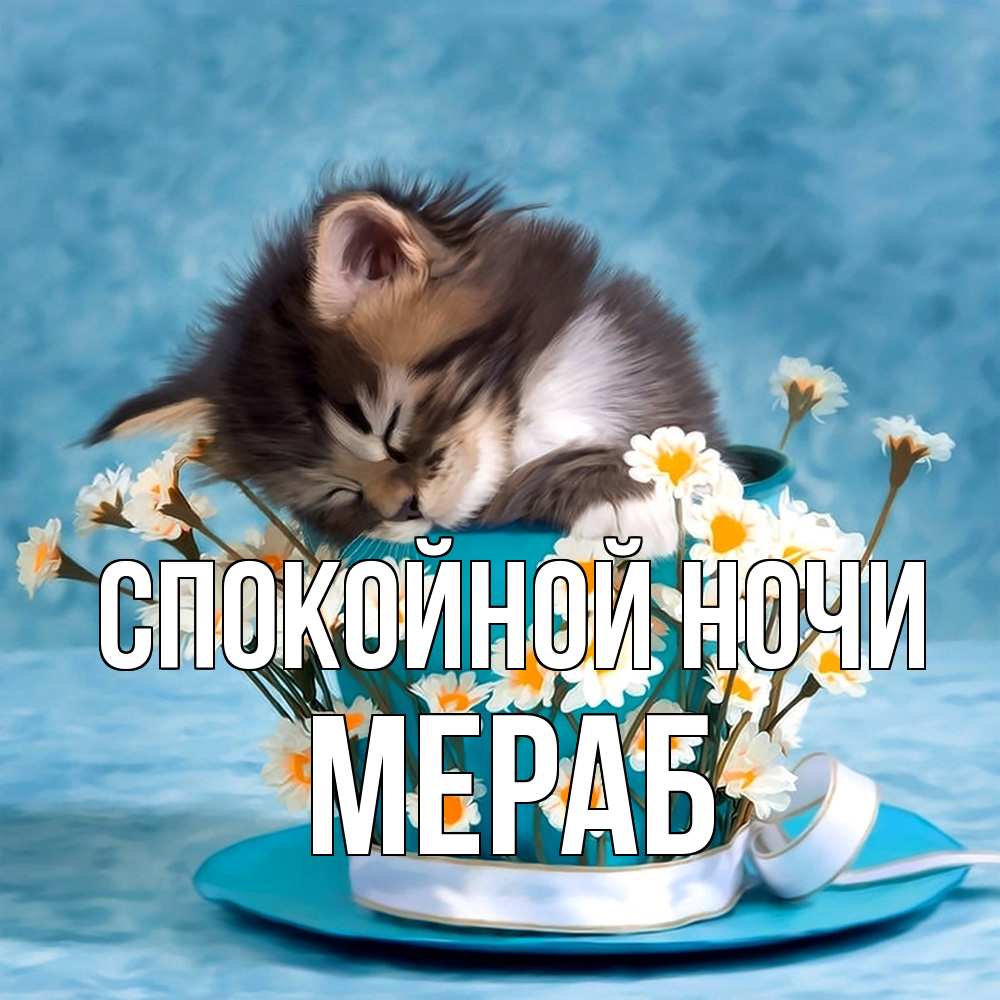 Открытка на каждый день с именем, Мераб Спокойной ночи котенок спит в кружке с блюдцем Прикольная открытка с пожеланием онлайн скачать бесплатно 