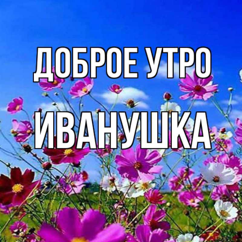 Картинка Доброе утро, Иванушка