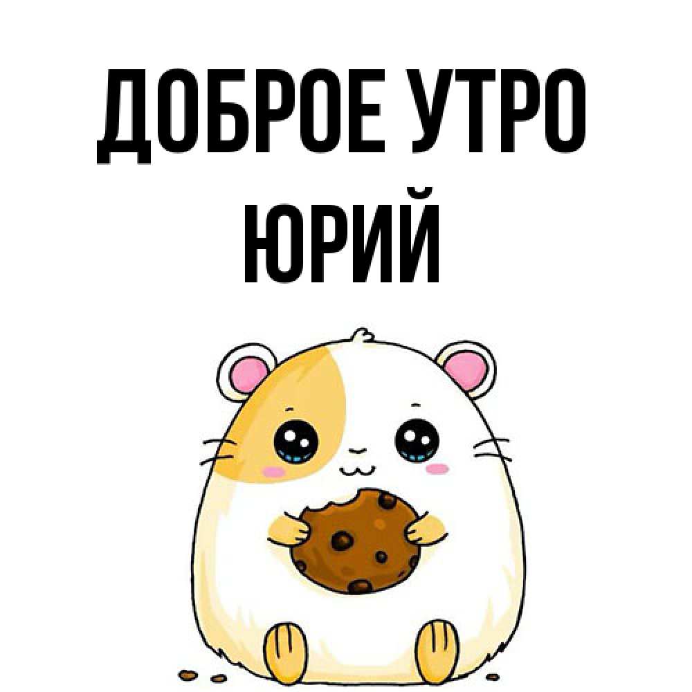 Открытка на каждый день с именем, Юрий Доброе утро есть печеньку. Утречко Прикольная открытка с пожеланием онлайн скачать бесплатно 