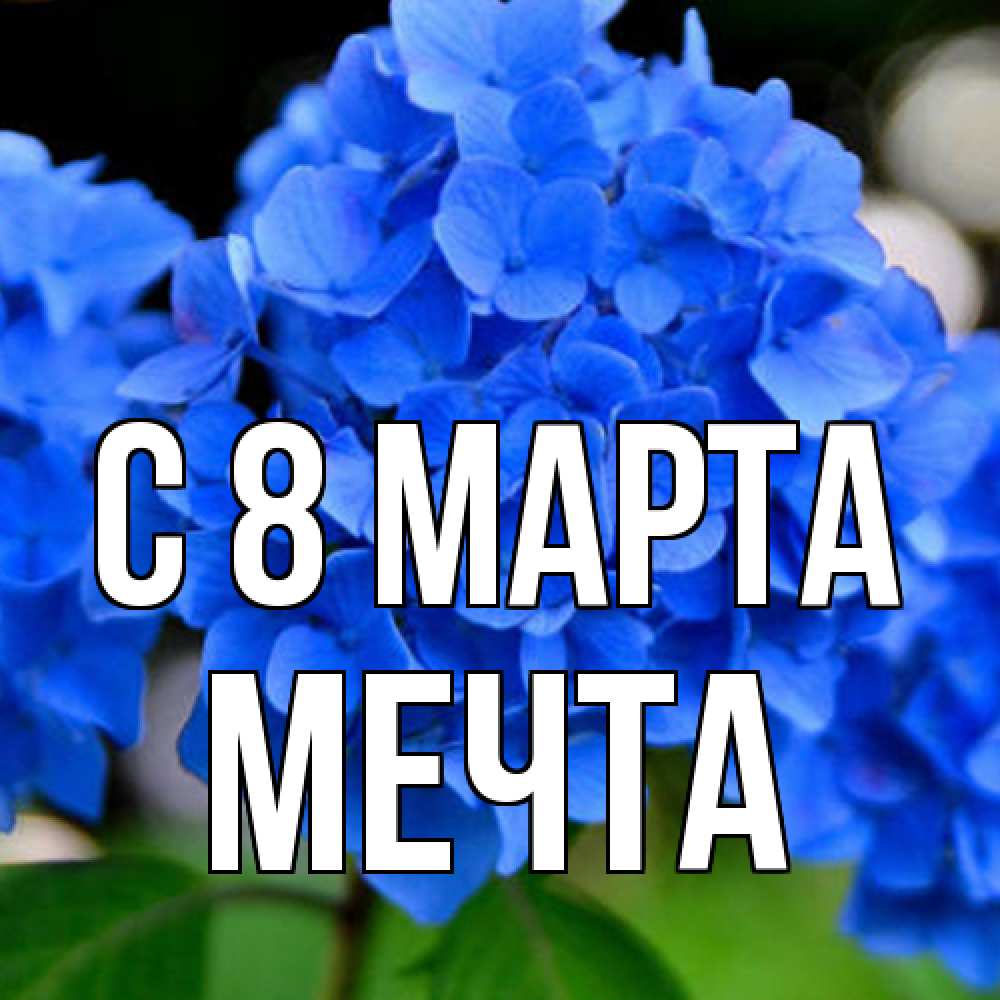 Открытка на каждый день с именем, мечта C 8 МАРТА синие цветы Прикольная открытка с пожеланием онлайн скачать бесплатно 