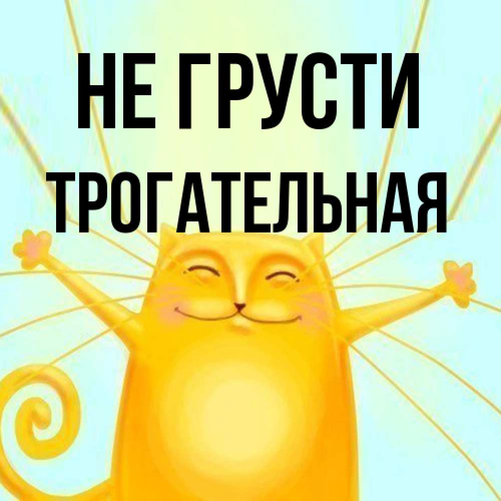 Открытка на каждый день с именем, Трогательная Не грусти обнимашки усатые Прикольная открытка с пожеланием онлайн скачать бесплатно 