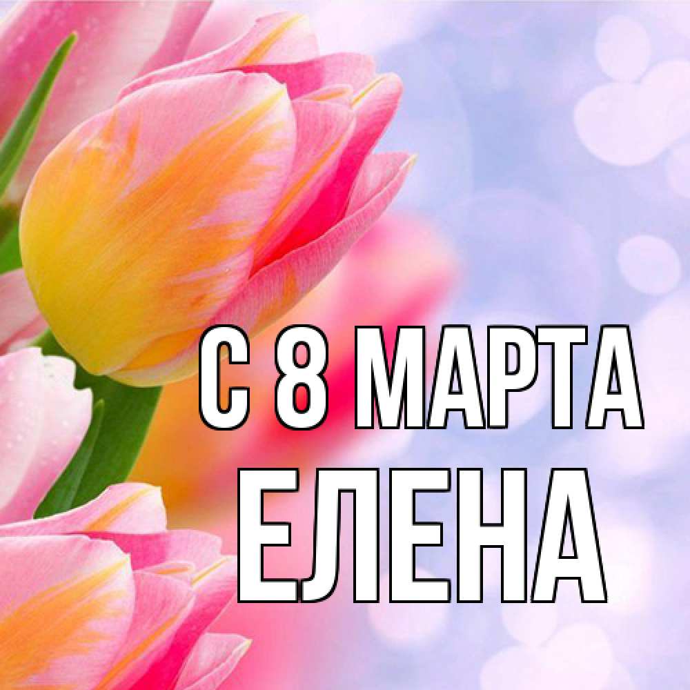 Открытка на каждый день с именем, Елена C 8 МАРТА тюльпаны 2 Прикольная открытка с пожеланием онлайн скачать бесплатно 