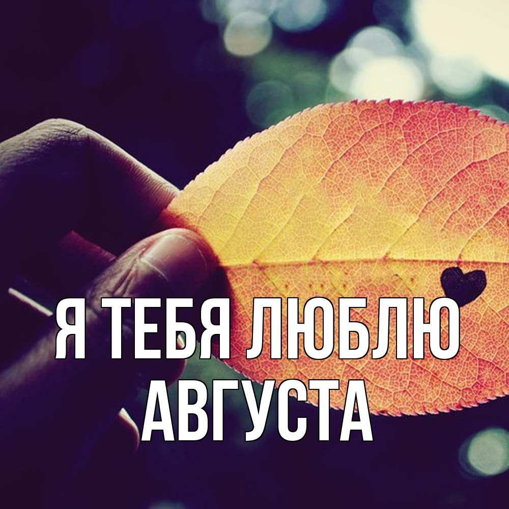 Открытка на каждый день с именем, Августа Я тебя люблю держу лист Прикольная открытка с пожеланием онлайн скачать бесплатно 