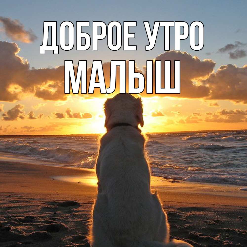 Открытка на каждый день с именем, Малыш Доброе утро восход солнца Прикольная открытка с пожеланием онлайн скачать бесплатно 