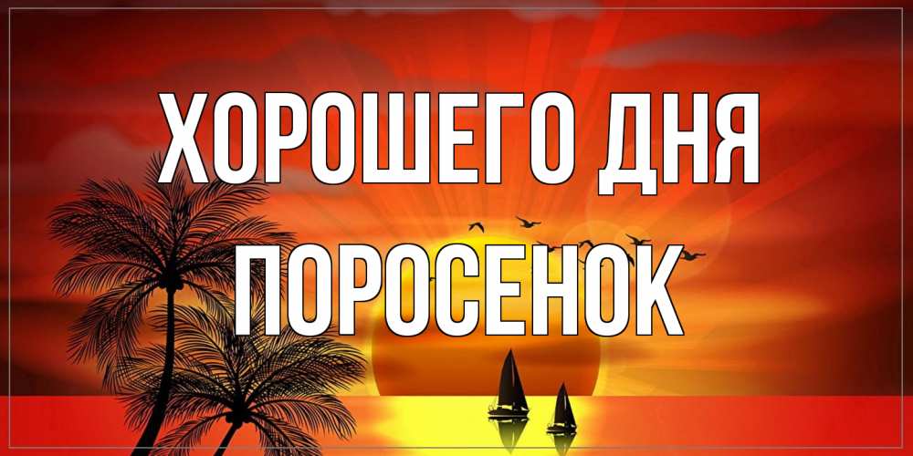 Открытка на каждый день с именем, Поросенок Хорошего дня открытки с пожеланиями хорошего дня Прикольная открытка с пожеланием онлайн скачать бесплатно 