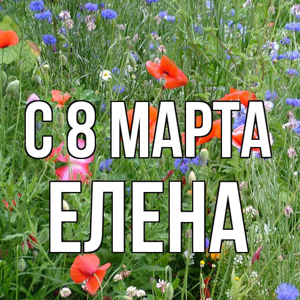 Открытка на каждый день с именем, Елена C 8 МАРТА международный женский день 4 Прикольная открытка с пожеланием онлайн скачать бесплатно 
