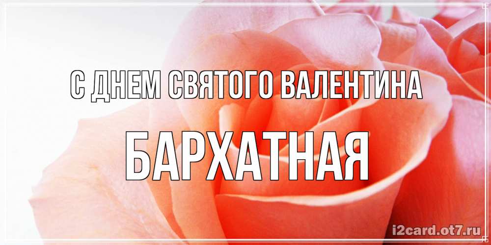 Открытка на каждый день с именем, Бархатная С днем Святого Валентина открытка на день Святого Валентина с розовой розой Прикольная открытка с пожеланием онлайн скачать бесплатно 