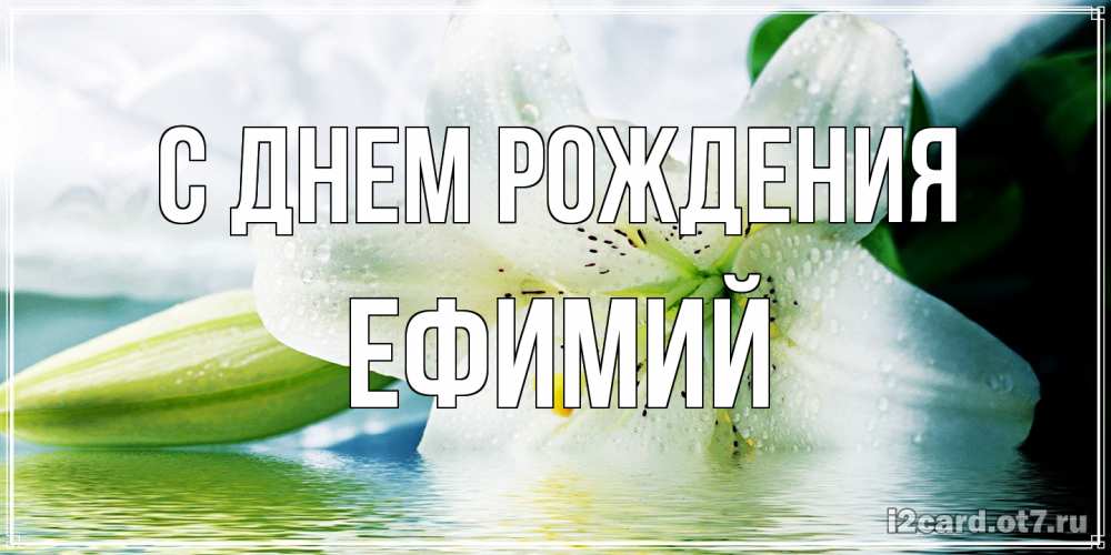 Открытка на каждый день с именем, Ефимий С днем рождения лилия на открытке ко дню рождения Прикольная открытка с пожеланием онлайн скачать бесплатно 