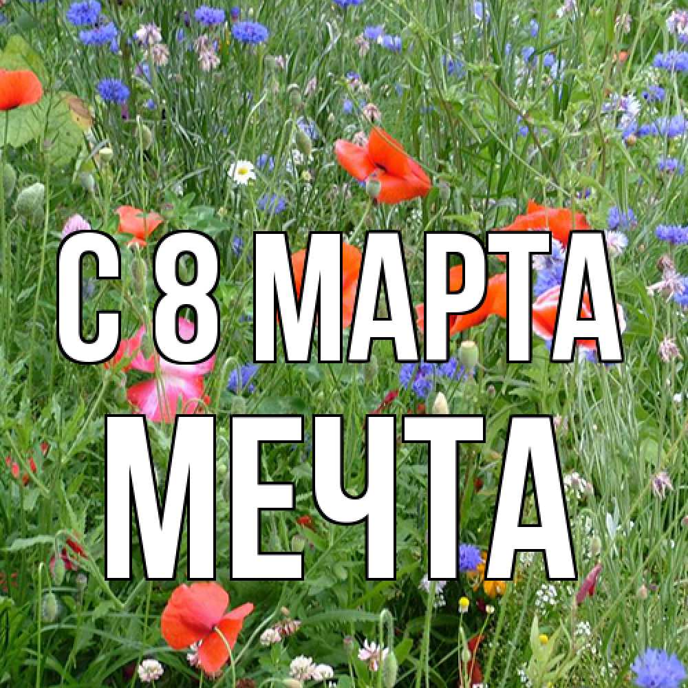 Открытка на каждый день с именем, мечта C 8 МАРТА международный женский день 4 Прикольная открытка с пожеланием онлайн скачать бесплатно 