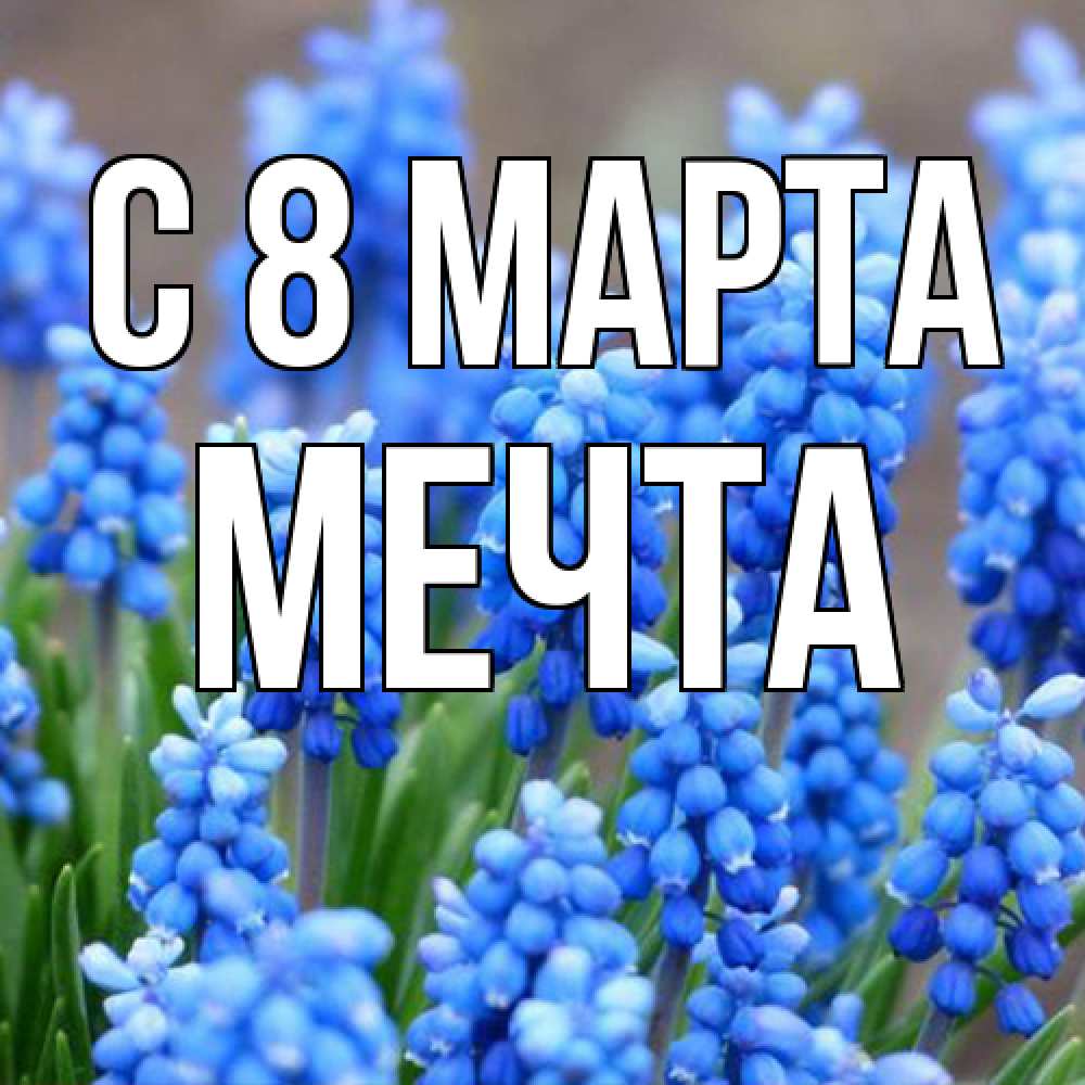 Открытка на каждый день с именем, мечта C 8 МАРТА Поздравительная открытка для женщин с цветами на праздничную дату Прикольная открытка с пожеланием онлайн скачать бесплатно 