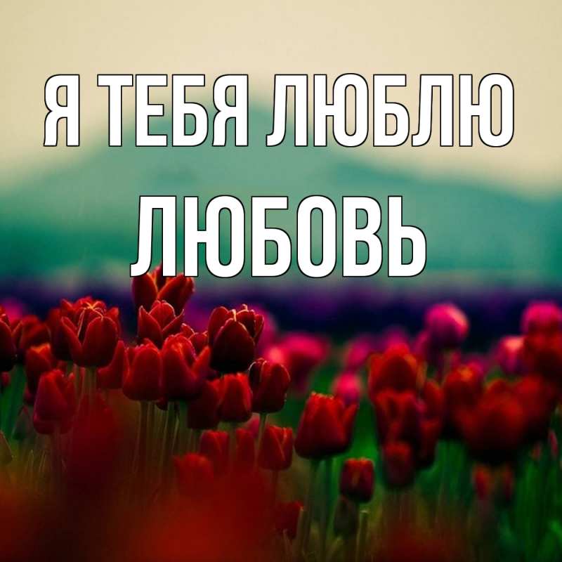 Картинка Я тебя люблю, Любовь