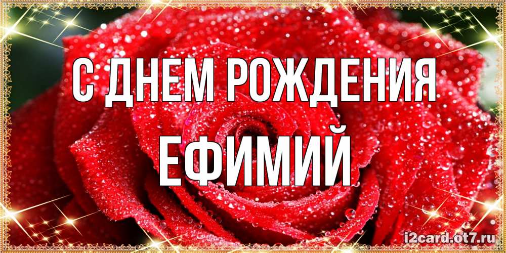 Открытка на каждый день с именем, Ефимий С днем рождения роса и роза. открытка с красивой розой Прикольная открытка с пожеланием онлайн скачать бесплатно 