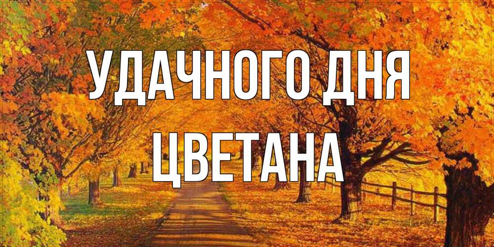 Открытка на каждый день с именем, Цветана Удачного дня деревья с осенними листьями Прикольная открытка с пожеланием онлайн скачать бесплатно 