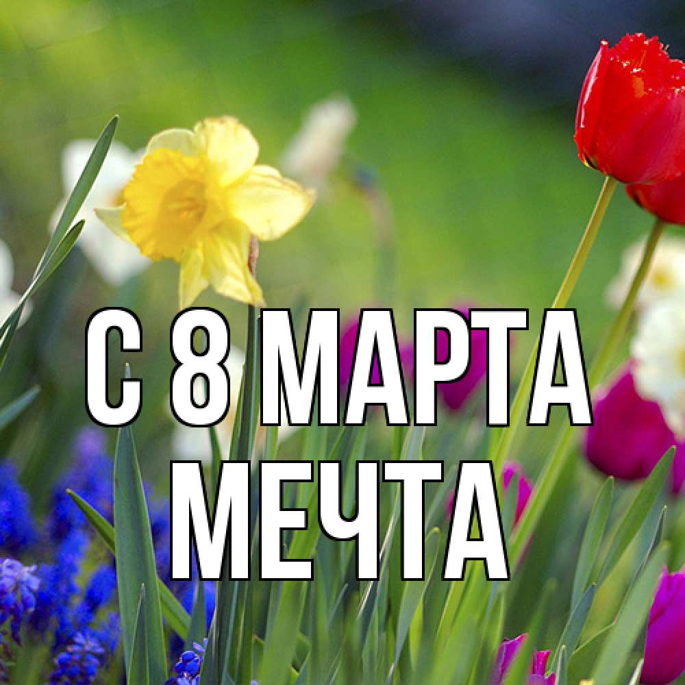 Открытка на каждый день с именем, мечта C 8 МАРТА международный женский день 3 Прикольная открытка с пожеланием онлайн скачать бесплатно 