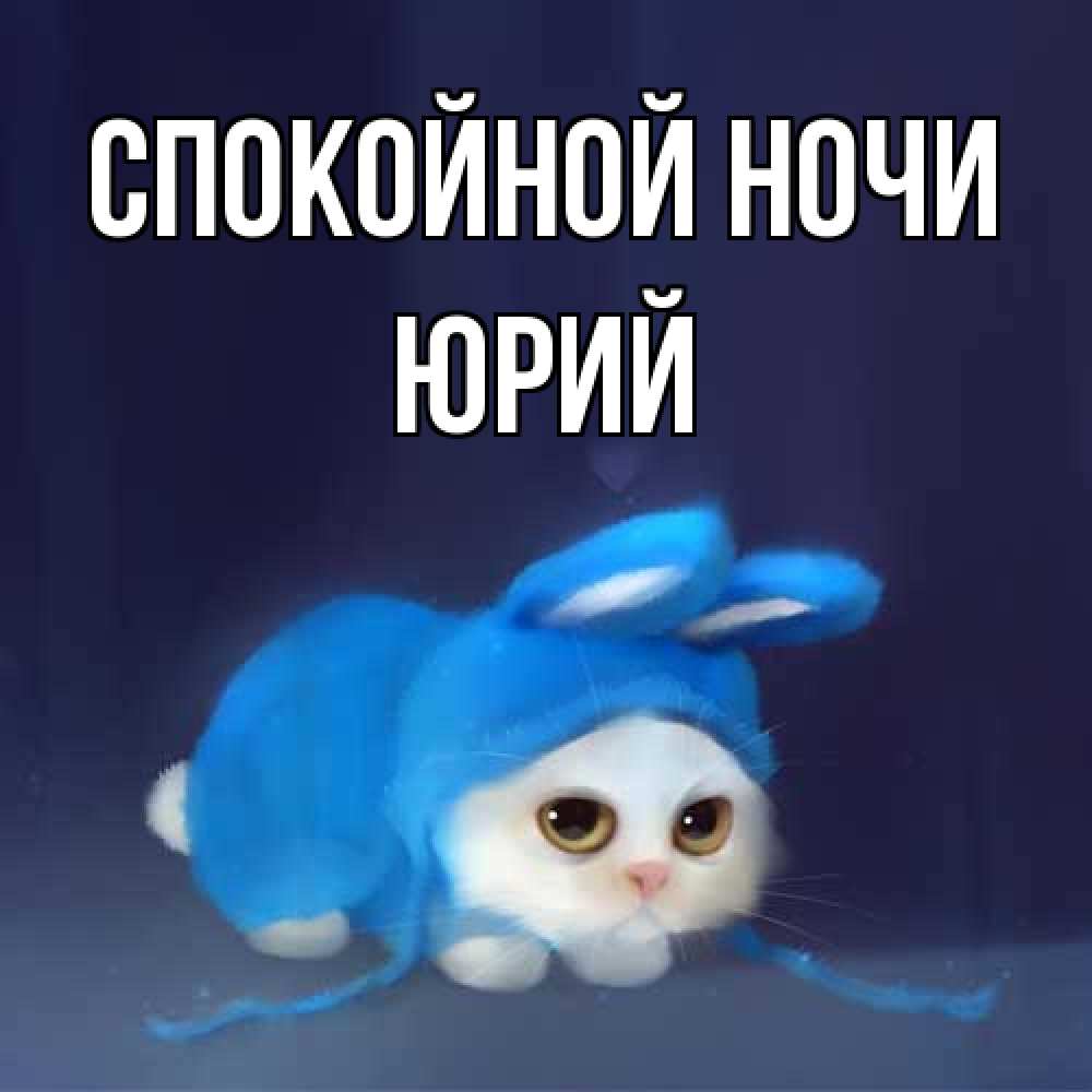 Открытка на каждый день с именем, Юрий Спокойной ночи кот в голубом костюме кролика с ушками Прикольная открытка с пожеланием онлайн скачать бесплатно 