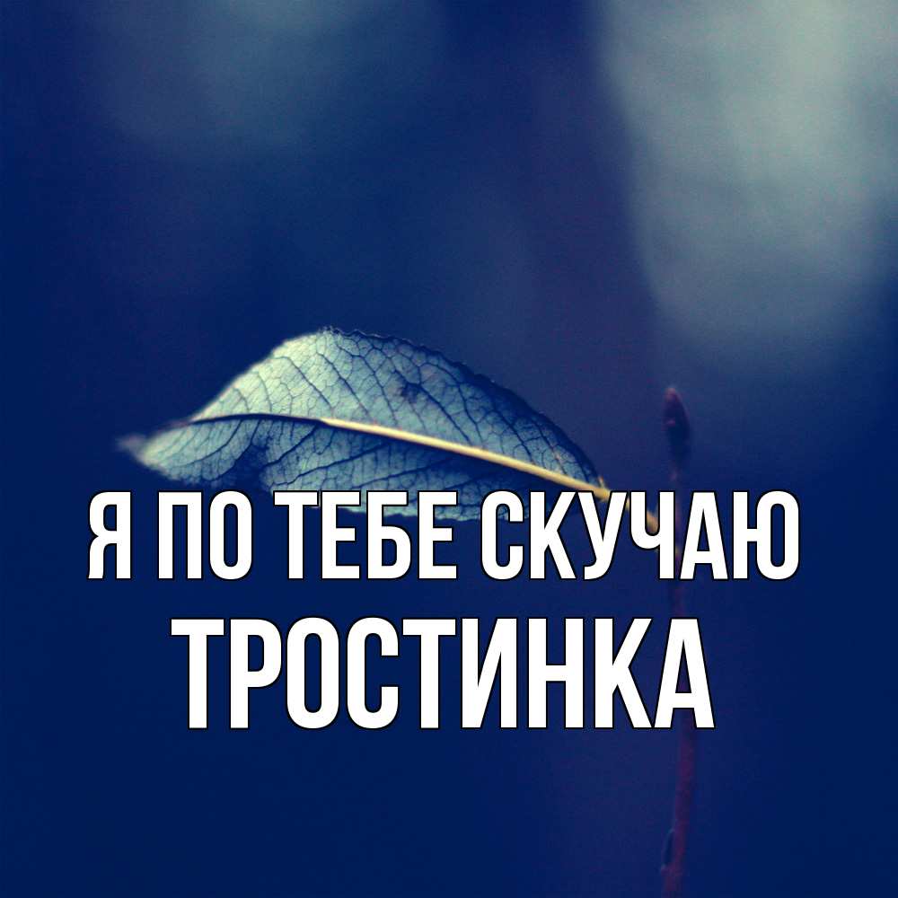 Открытка на каждый день с именем, Тростинка Я по тебе скучаю одна ветка 1 Прикольная открытка с пожеланием онлайн скачать бесплатно 