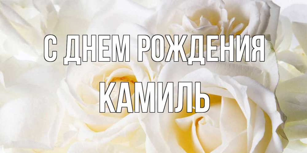Открытка на каждый день с именем, Камиль С днем рождения открыточки на день рождения любимым Прикольная открытка с пожеланием онлайн скачать бесплатно 