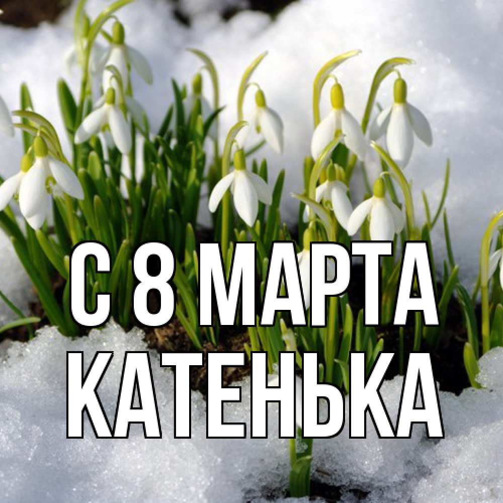 Открытка на каждый день с именем, Катенька C 8 МАРТА цветы весенние Прикольная открытка с пожеланием онлайн скачать бесплатно 