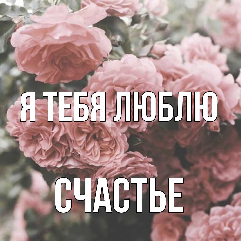 Открытка на каждый день с именем, счастье Я тебя люблю розы 3 Прикольная открытка с пожеланием онлайн скачать бесплатно 