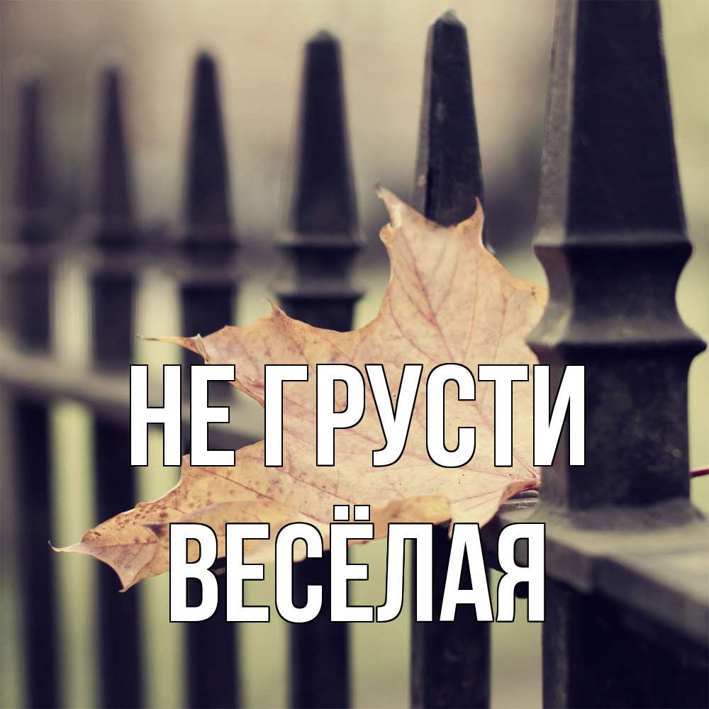 Открытка на каждый день с именем, Весёлая Не грусти лист клена Прикольная открытка с пожеланием онлайн скачать бесплатно 