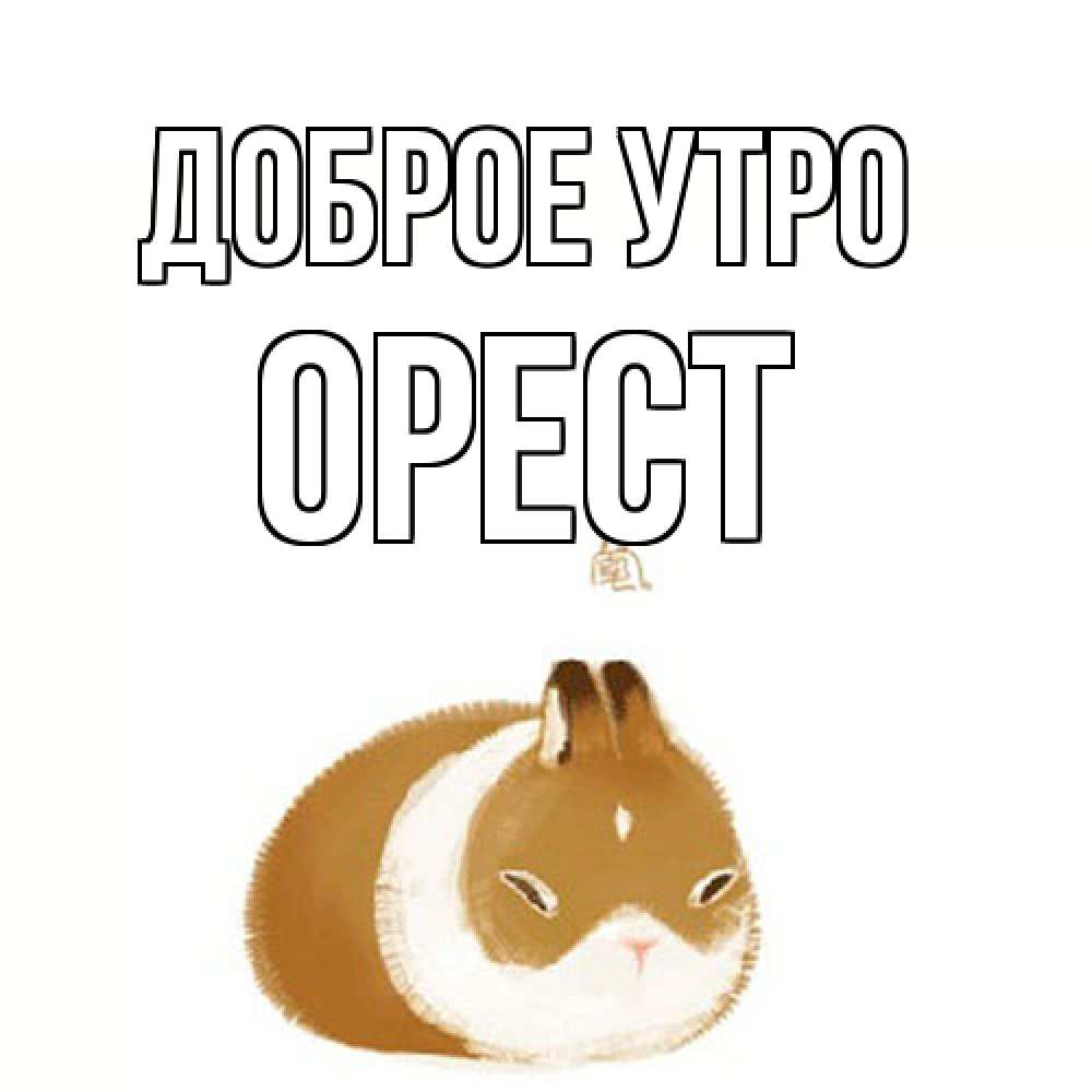 Открытка на каждый день с именем, Орест Доброе утро хорошего утречка Прикольная открытка с пожеланием онлайн скачать бесплатно 