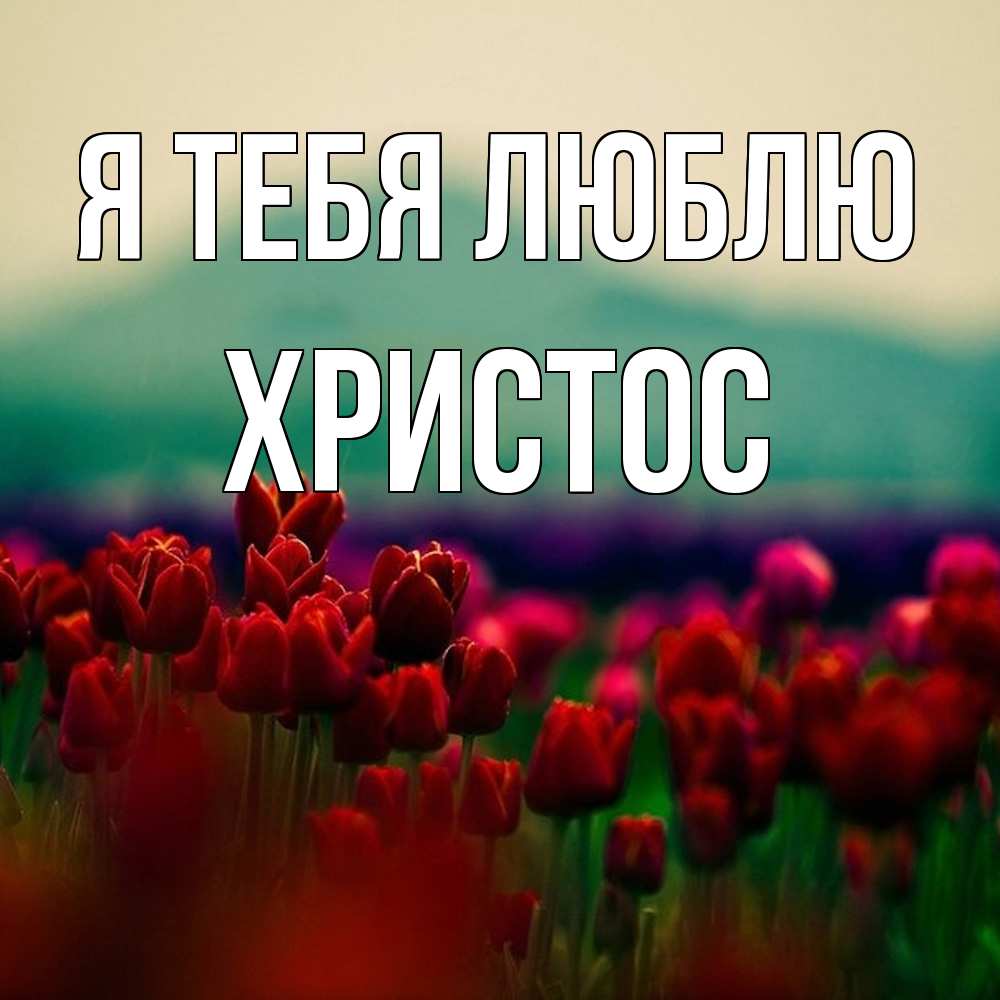 Открытка на каждый день с именем, Христос Я тебя люблю тюльпаны 4 Прикольная открытка с пожеланием онлайн скачать бесплатно 