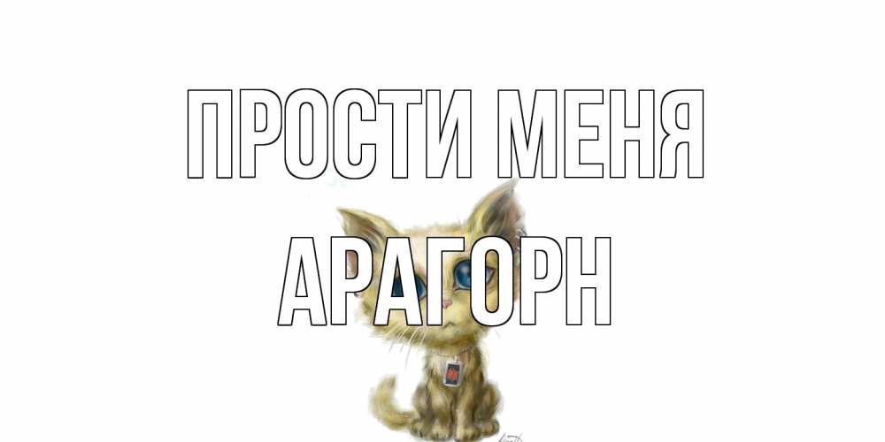 Открытка на каждый день с именем, Арагорн Прости меня прости меня открытка с котиком Прикольная открытка с пожеланием онлайн скачать бесплатно 