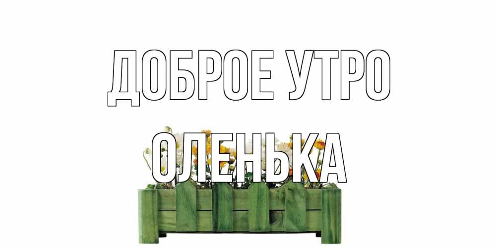 Открытка на каждый день с именем, Оленька Доброе утро цветы Прикольная открытка с пожеланием онлайн скачать бесплатно 