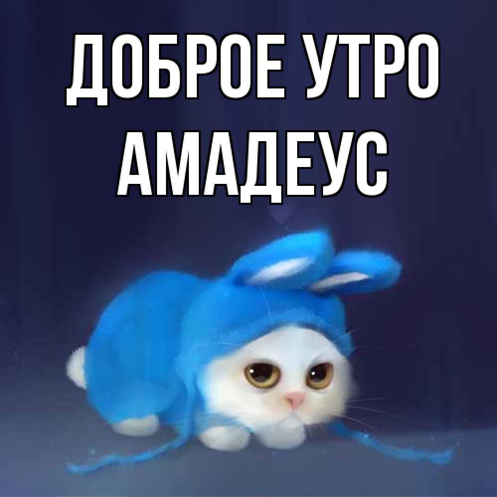 Открытка на каждый день с именем, Амадеус Доброе утро открытки красивые скачать бесплатно Прикольная открытка с пожеланием онлайн скачать бесплатно 