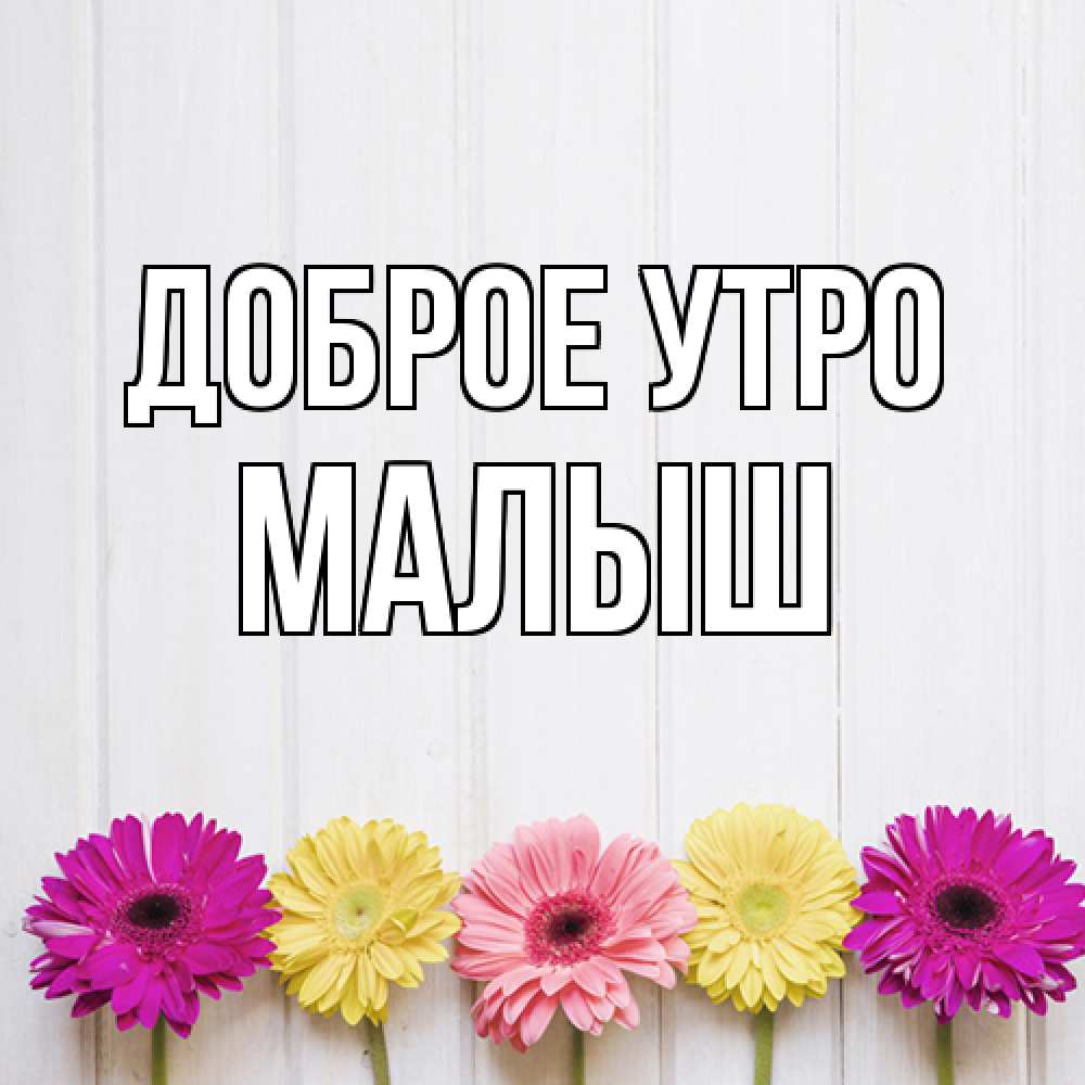 Открытка на каждый день с именем, Малыш Доброе утро красный желтый и розовый цветок Прикольная открытка с пожеланием онлайн скачать бесплатно 