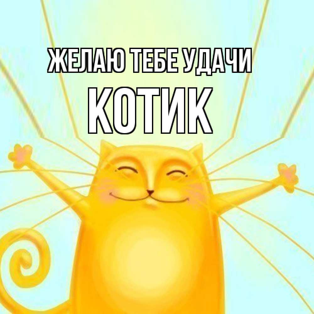Открытка на каждый день с именем, Котик Желаю тебе удачи пусть придет к тебе удача Прикольная открытка с пожеланием онлайн скачать бесплатно 