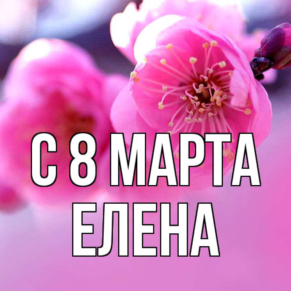 Открытка на каждый день с именем, Елена C 8 МАРТА международный женский день Прикольная открытка с пожеланием онлайн скачать бесплатно 