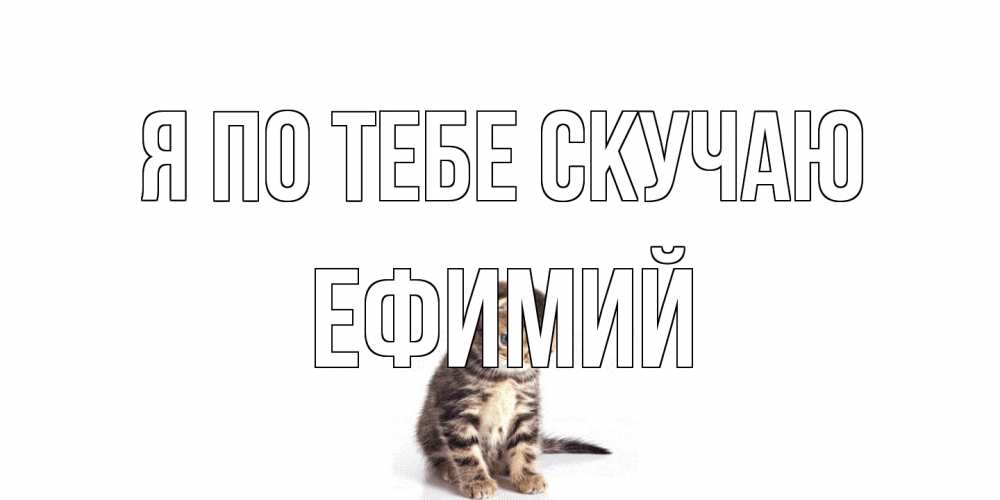 Открытка на каждый день с именем, Ефимий Я по тебе скучаю кот Прикольная открытка с пожеланием онлайн скачать бесплатно 