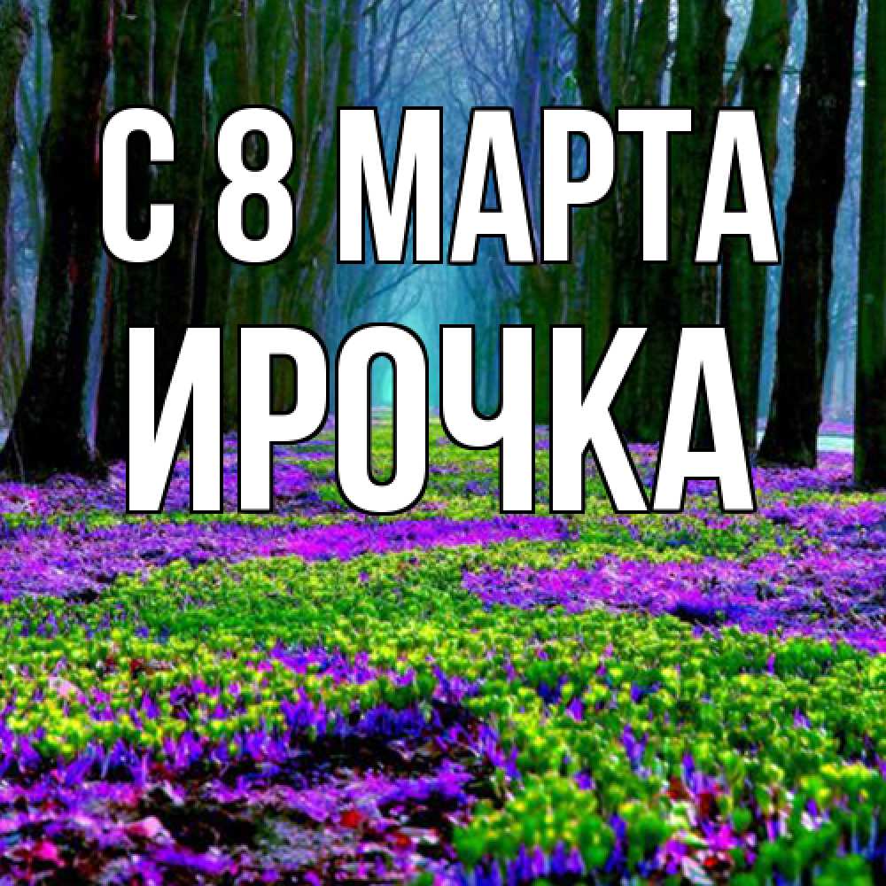 Открытка на каждый день с именем, Ирочка C 8 МАРТА фиолетовые цветы в лесу 1 Прикольная открытка с пожеланием онлайн скачать бесплатно 
