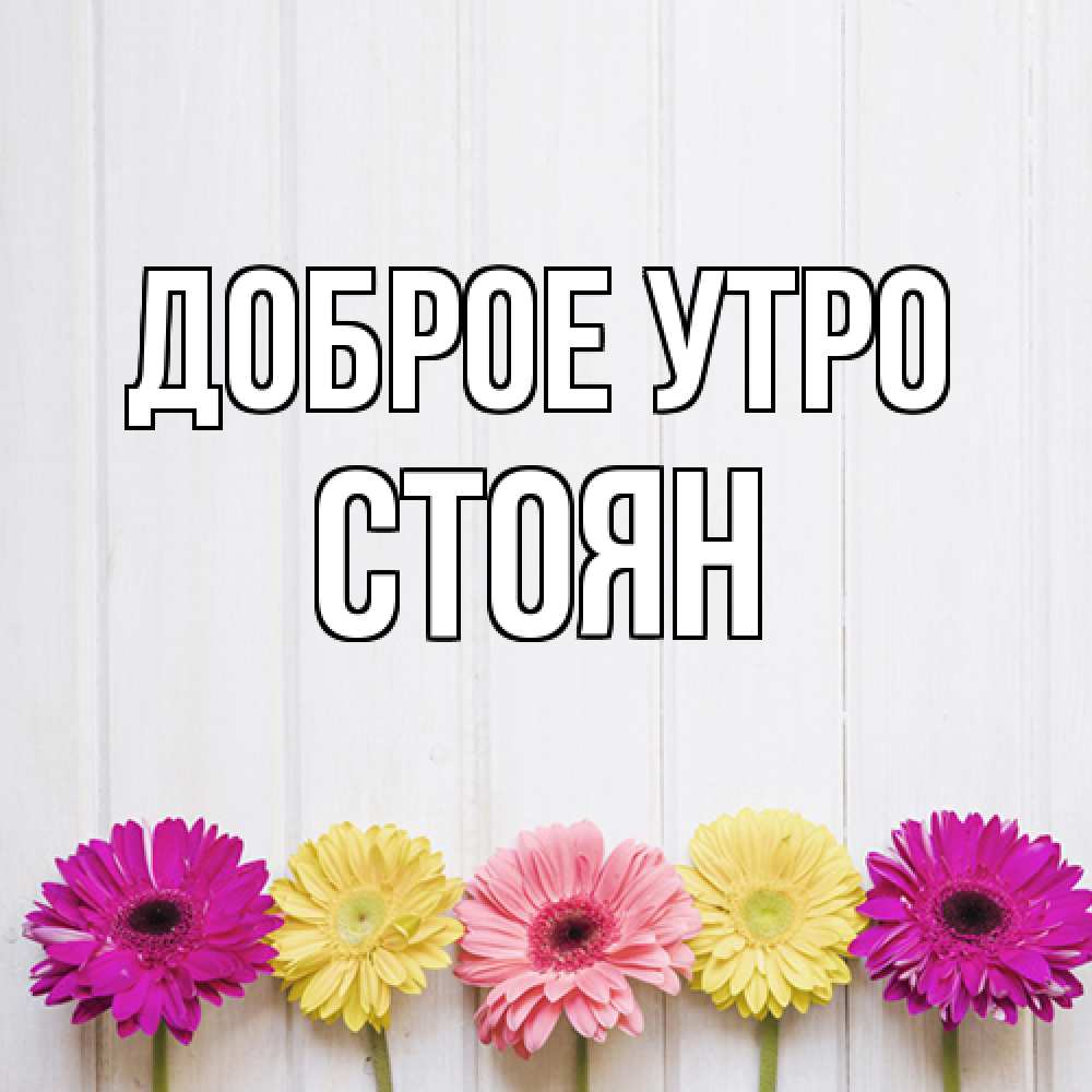 Открытка на каждый день с именем, Стоян Доброе утро красный желтый и розовый цветок Прикольная открытка с пожеланием онлайн скачать бесплатно 