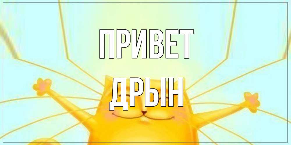 Открытка на каждый день с именем, Дрын Привет кот Прикольная открытка с пожеланием онлайн скачать бесплатно 