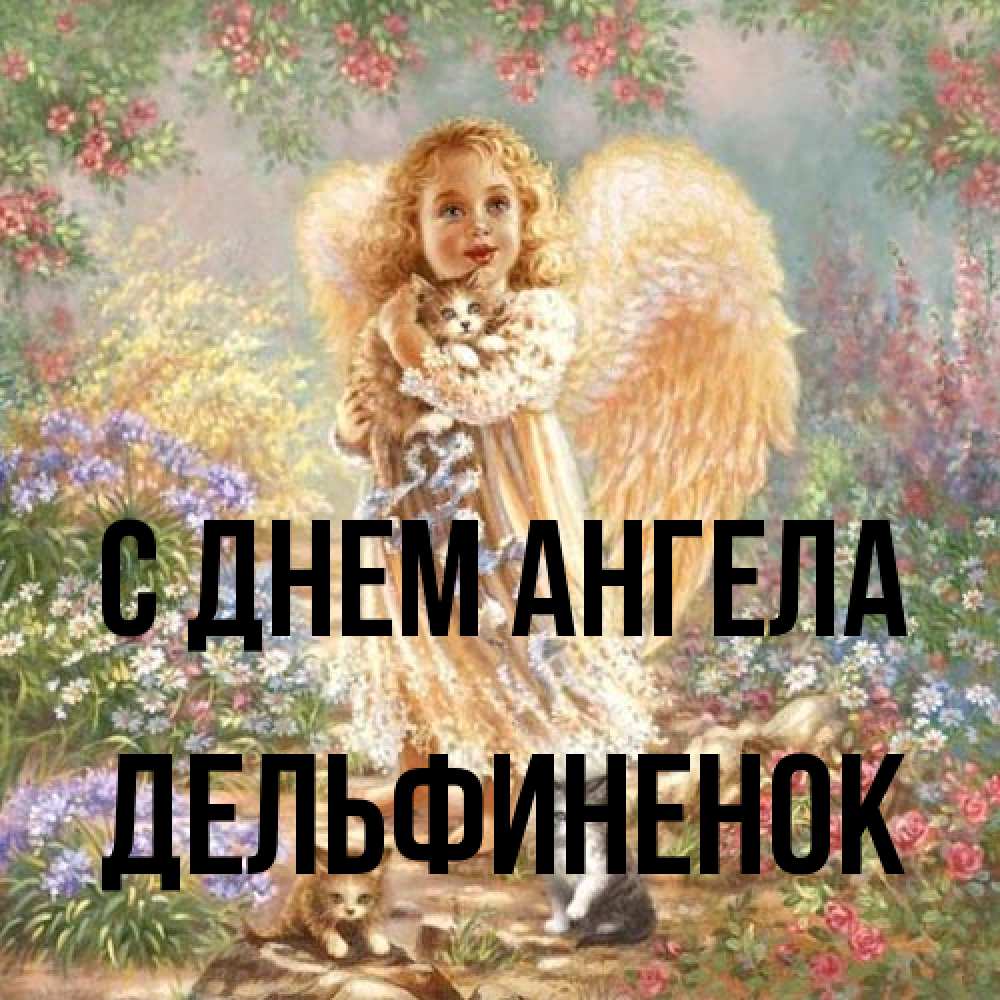 Открытка на каждый день с именем, дельфиненок С днем ангела держит котенка Прикольная открытка с пожеланием онлайн скачать бесплатно 