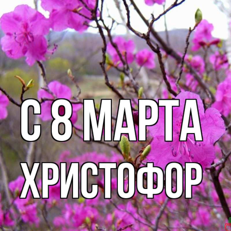 Картинка C 8 МАРТА, Христофор