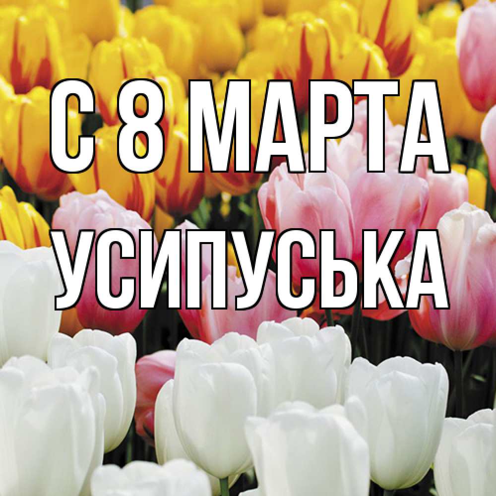 Открытка на каждый день с именем, усипуська C 8 МАРТА разноцветные цветы Прикольная открытка с пожеланием онлайн скачать бесплатно 