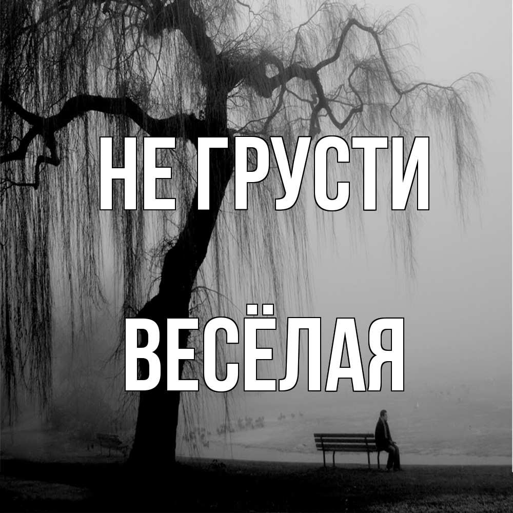 Открытка на каждый день с именем, Весёлая Не грусти висящие ветки дерева и лавочка под деревом Прикольная открытка с пожеланием онлайн скачать бесплатно 
