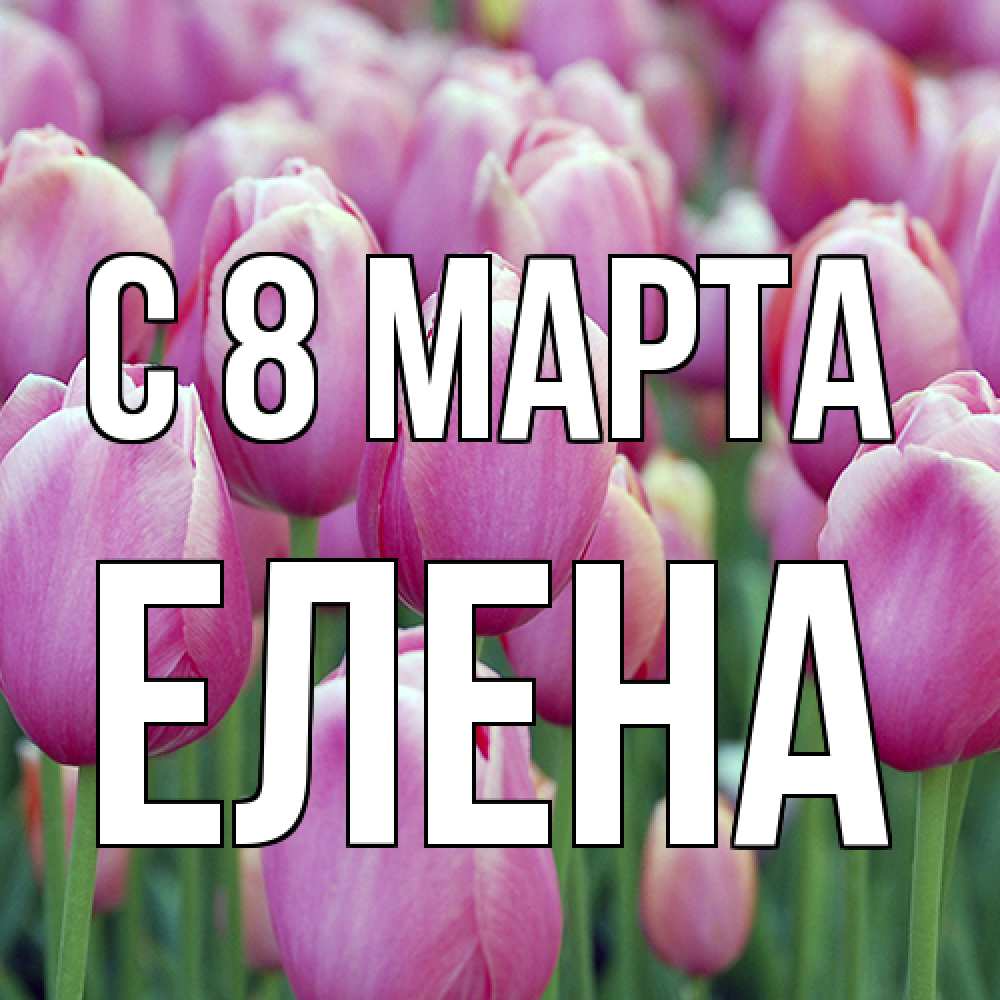 Открытка на каждый день с именем, Елена C 8 МАРТА на международный женский день 3 Прикольная открытка с пожеланием онлайн скачать бесплатно 