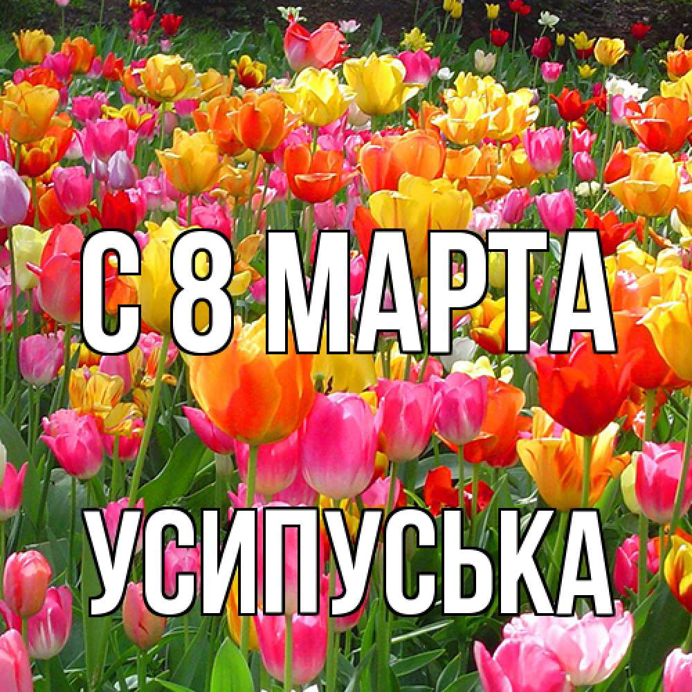 Открытка на каждый день с именем, усипуська C 8 МАРТА на международный женский день Прикольная открытка с пожеланием онлайн скачать бесплатно 