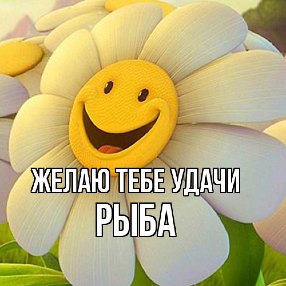 Открытка на каждый день с именем, Рыба Желаю тебе удачи подписать открытку своим текстом Прикольная открытка с пожеланием онлайн скачать бесплатно 