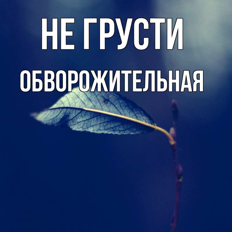 Картинка Не грусти, Обвоpожительная
