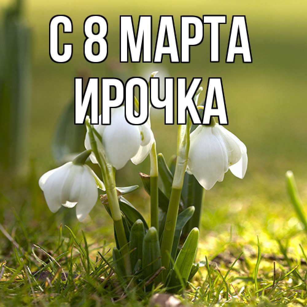 Открытка на каждый день с именем, Ирочка C 8 МАРТА ранние цветы 2 Прикольная открытка с пожеланием онлайн скачать бесплатно 