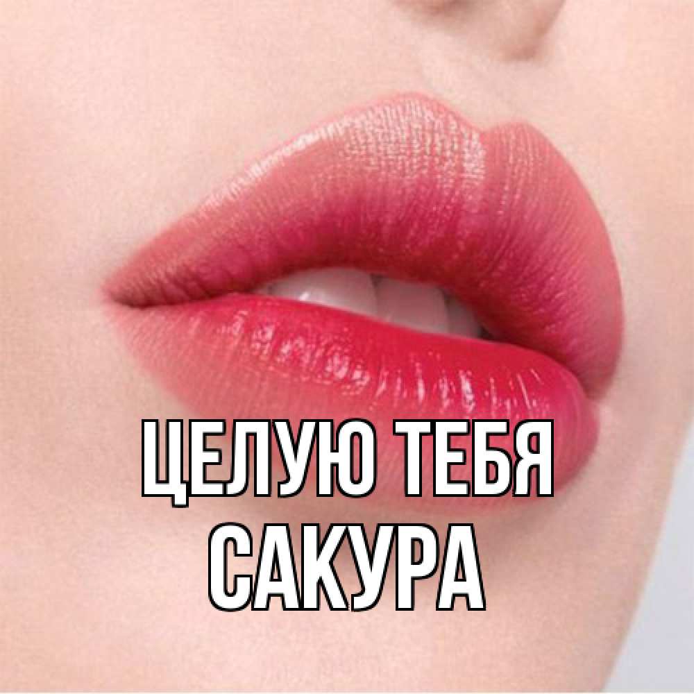 Открытка на каждый день с именем, Сакура Целую тебя губы зубки и нежная кожа Прикольная открытка с пожеланием онлайн скачать бесплатно 
